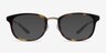First Light Écailles Acetate-metalMontures de lunettes de vue d'EyeBuyDirect, Avec des Verres Teintés