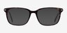 Motion Écailles Acetate-metalMontures de lunettes de vue d'EyeBuyDirect, Avec des Verres Teintés