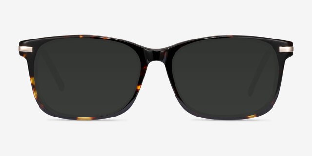 Phase Tortoise Acetate-metalEyeglass Frames from EyeBuyDirect, with Tinted Lenses