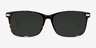 Phase Tortoise Acetate-metalEyeglass Frames from EyeBuyDirect, with Tinted Lenses