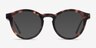 Twin Tortoise AcetateEyeglass Frames from EyeBuyDirect, with Tinted Lenses
