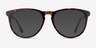 Ultraviolet Tortoise Acetate-metalEyeglass Frames from EyeBuyDirect, with Tinted Lenses