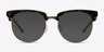 Skyscraper Tortoise AcetateEyeglass Frames from EyeBuyDirect, with Tinted Lenses