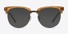 Skyscraper Brown AcetateEyeglass Frames from EyeBuyDirect, with Tinted Lenses