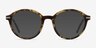 Juno Tortoise MetalEyeglass Frames from EyeBuyDirect, with Tinted Lenses