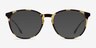 Gracious Light Tortoise MetalEyeglass Frames from EyeBuyDirect, with Tinted Lenses