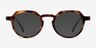Phantasm Matte Tortoise AcetateEyeglass Frames from EyeBuyDirect, with Tinted Lenses