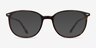 Eros Tortoise Acetate-metalEyeglass Frames from EyeBuyDirect, with Tinted Lenses