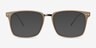 Forte Brown Plastic-metalEyeglass Frames from EyeBuyDirect, with Tinted Lenses