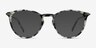 Iris Ivory Tortoise Acetate-metalEyeglass Frames from EyeBuyDirect, with Tinted Lenses