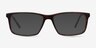 Marvel Tortoise Acetate-metalEyeglass Frames from EyeBuyDirect, with Tinted Lenses