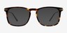 Glory Tortoise Acetate-metalEyeglass Frames from EyeBuyDirect, with Tinted Lenses