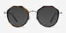 Accent Tortoise Acetate-metalEyeglass Frames from EyeBuyDirect, with Tinted Lenses