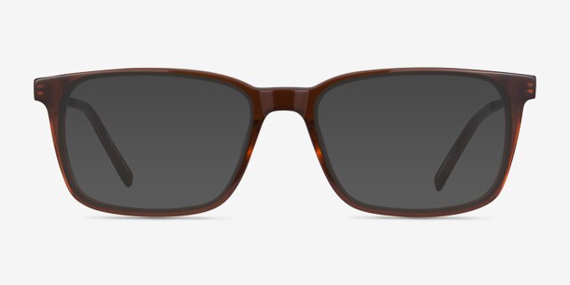 Stanza Brown Acetate-metalEyeglass Frames from EyeBuyDirect, with Tinted Lenses