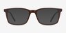 Stanza Brown Acetate-metalEyeglass Frames from EyeBuyDirect, with Tinted Lenses
