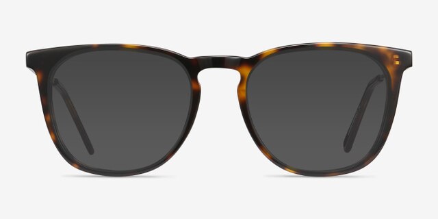Vinyl Tortoise Acetate-metalEyeglass Frames from EyeBuyDirect, with Tinted Lenses