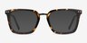 Poise Tortoise Acetate-metalEyeglass Frames from EyeBuyDirect, with Tinted Lenses