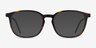 Esquire Tortoise Acetate-metalEyeglass Frames from EyeBuyDirect, with Tinted Lenses