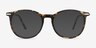 Quill Tortoise Acetate-metalEyeglass Frames from EyeBuyDirect, with Tinted Lenses