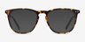 Distance Tortoise Acetate-metalEyeglass Frames from EyeBuyDirect, with Tinted Lenses