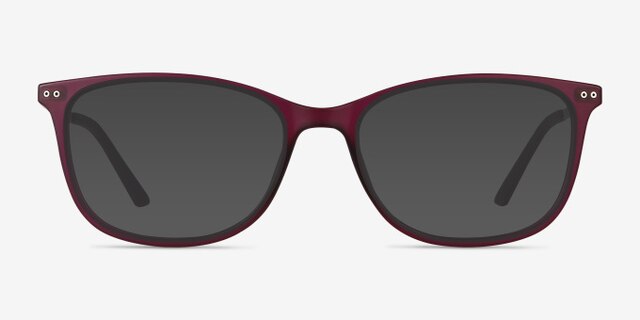 Clarity Purple Plastic-metalEyeglass Frames from EyeBuyDirect, with Tinted Lenses