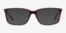 Hayday Tortoise Acetate-metalEyeglass Frames from EyeBuyDirect, with Tinted Lenses