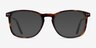 Ratio Tortoise Acetate-metalEyeglass Frames from EyeBuyDirect, with Tinted Lenses