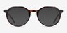 The Cycle Dark Tortoise Acetate-metalEyeglass Frames from EyeBuyDirect, with Tinted Lenses