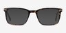 Nox Tortoise Acetate-metalEyeglass Frames from EyeBuyDirect, with Tinted Lenses