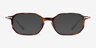 Lampito Tortoise AcetateEyeglass Frames from EyeBuyDirect, with Tinted Lenses