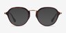 Impact Tortoise AcetateEyeglass Frames from EyeBuyDirect, with Tinted Lenses