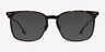 Cohen Écailles Acetate-metalMontures de lunettes de vue d'EyeBuyDirect, Avec des Verres Teintés