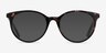 Solver Tortoise Acetate-metalEyeglass Frames from EyeBuyDirect, with Tinted Lenses