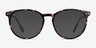 Clever Tortoise Acetate-metalEyeglass Frames from EyeBuyDirect, with Tinted Lenses