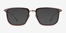 Glimpse Brown Gold Acetate-metalEyeglass Frames from EyeBuyDirect, with Tinted Lenses