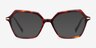 Carmel Tortoise Acetate-metalEyeglass Frames from EyeBuyDirect, with Tinted Lenses