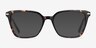 Dearly Tortoise Acetate-metalEyeglass Frames from EyeBuyDirect, with Tinted Lenses