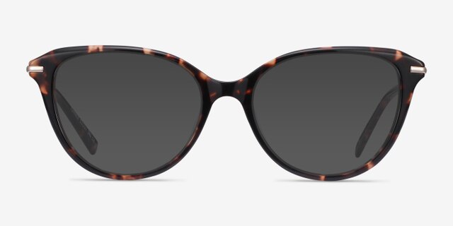 Turner Tortoise Acetate-metalEyeglass Frames from EyeBuyDirect, with Tinted Lenses