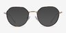 Huxley Tortoise  Golden MetalEyeglass Frames from EyeBuyDirect, with Tinted Lenses