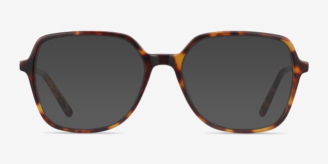Lenny Tortoise Acetate-metalEyeglass Frames from EyeBuyDirect, with Tinted Lenses