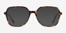 Lenny Tortoise Acetate-metalEyeglass Frames from EyeBuyDirect, with Tinted Lenses