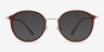 Colman Coffee Acetate-metalEyeglass Frames from EyeBuyDirect, with Tinted Lenses