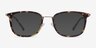 Barnaby Tortoise Acetate-metalEyeglass Frames from EyeBuyDirect, with Tinted Lenses