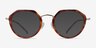 Claire Tortoise  Gold AcetateEyeglass Frames from EyeBuyDirect, with Tinted Lenses