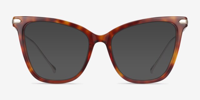 Domy Tortoise Acetate-metalEyeglass Frames from EyeBuyDirect, with Tinted Lenses