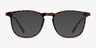 Avery Tortoise Plastic-metalEyeglass Frames from EyeBuyDirect, with Tinted Lenses