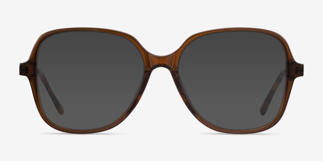 Corey Coffee Acetate-metalEyeglass Frames from EyeBuyDirect, with Tinted Lenses