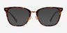 Biblio Tortoise Acetate-metalEyeglass Frames from EyeBuyDirect, with Tinted Lenses