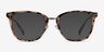 Biblio Ivory Tortoise Acetate-metalEyeglass Frames from EyeBuyDirect, with Tinted Lenses