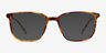 Pattern Tortoise AcetateEyeglass Frames from EyeBuyDirect, with Tinted Lenses